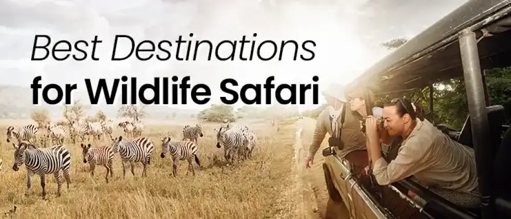 Wildlife Safari Destinations for Families 