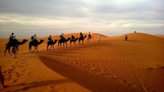 Desert Safaris
