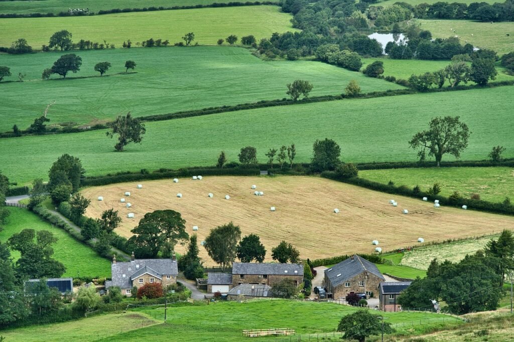 Agritourism Stays