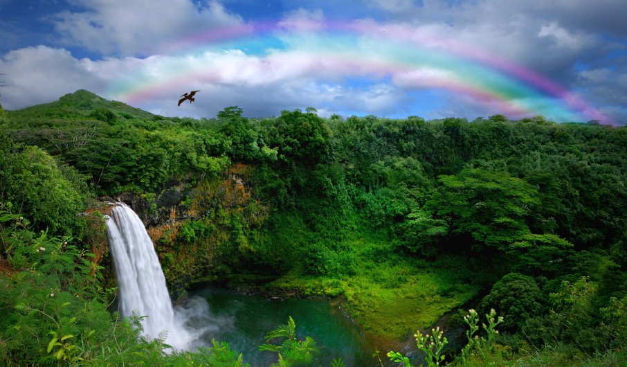 Maui: A Paradise for Nature Lovers