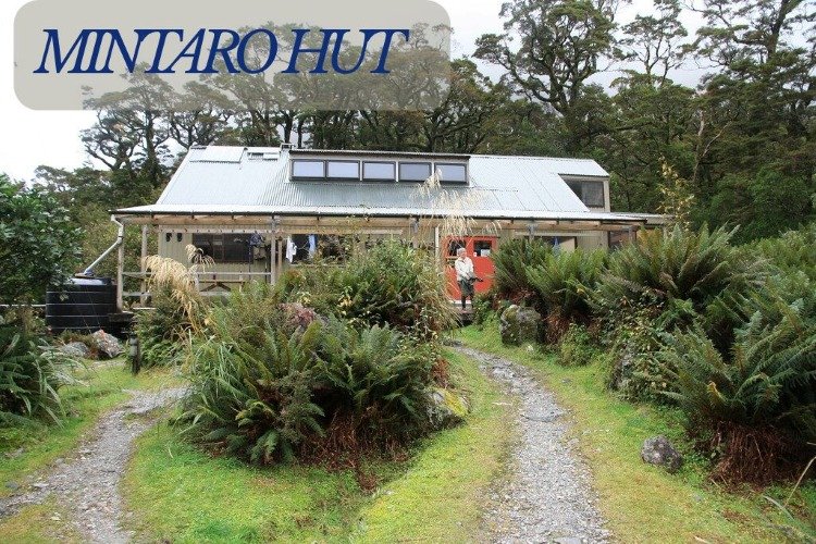 Mintaro Hut 