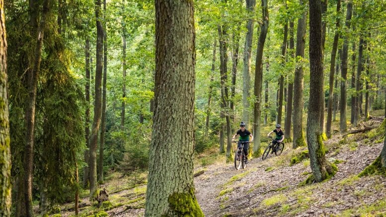 Black Forest-Gentle biking trails