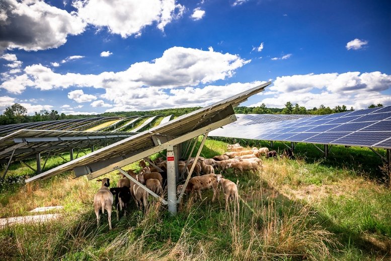 Greek Island Solar Sanctuaries