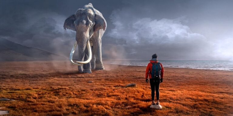 Master your physical adventure anxieties and transform them into confident exploration