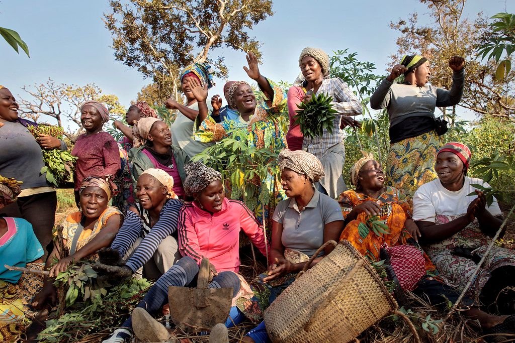 Discover hidden gems in Cameroon
