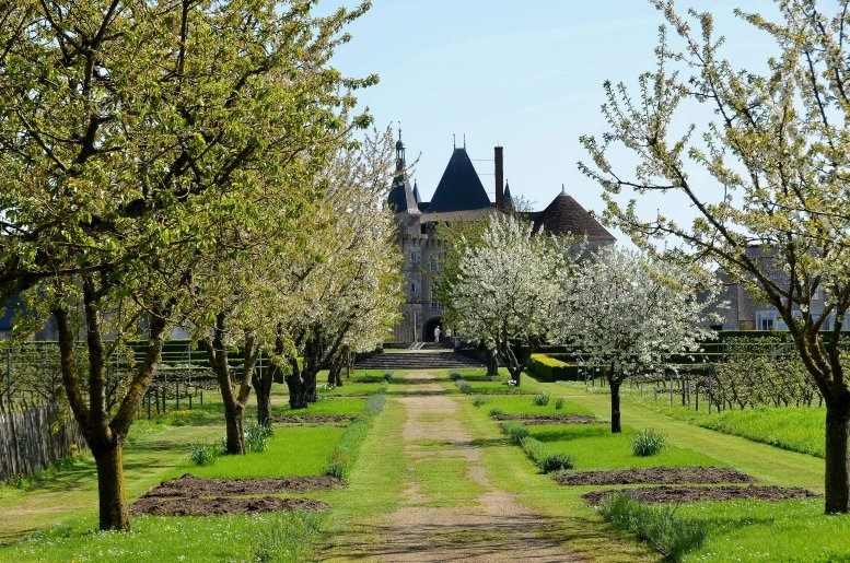 Château de Talcy stands surrounded by rose gardens