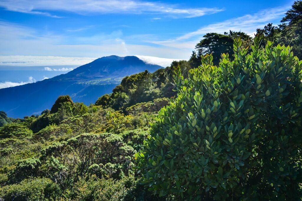 Costa Rica- wildlife protection on an unprecedented scale.