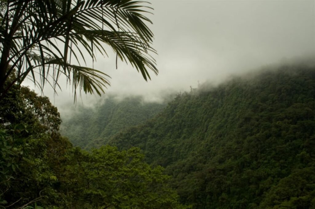 Costa Rica's Cloud Forests: How Responsible Tourism Can Transform Communities