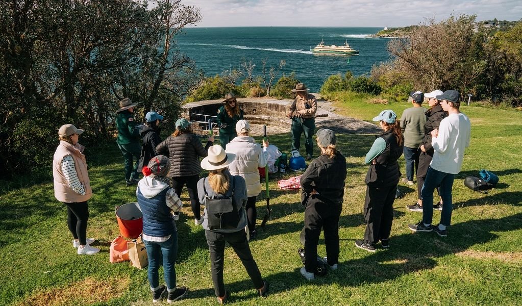 Discover transformative volunteer travel experiences