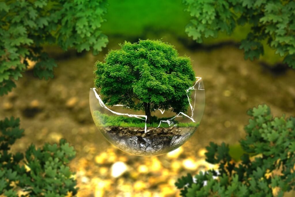 Environmental protection- through reduced carbon emissions and waste