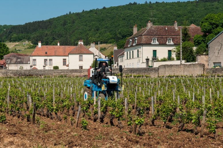  Gevrey-Chambertin- mornings begin with the sound of tractors