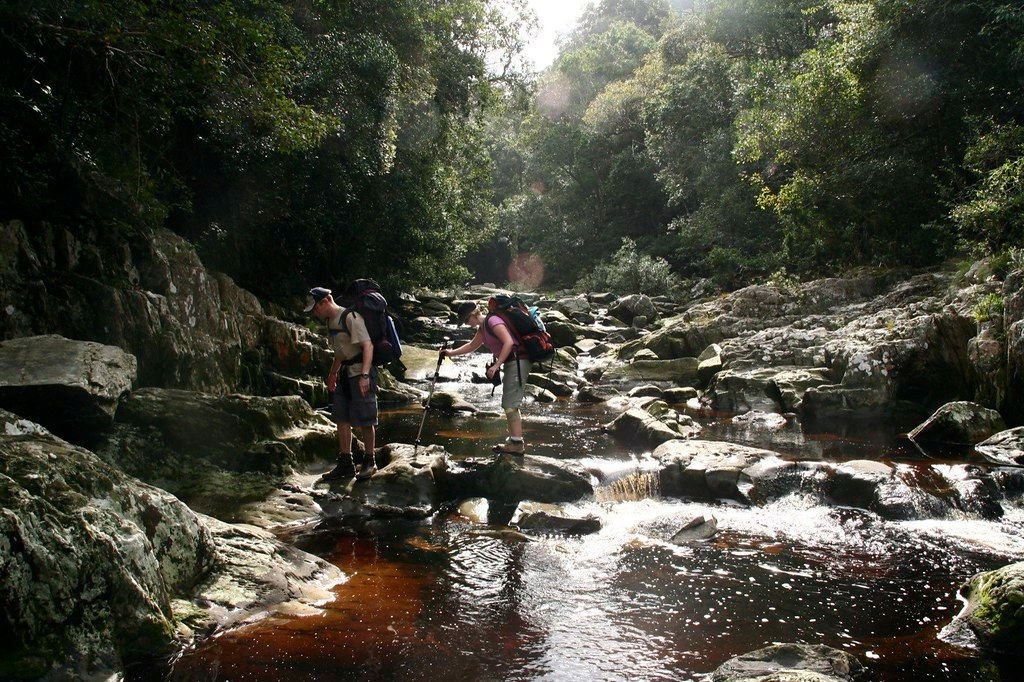 Hike the Otter Trail: A Coastal Odyssey