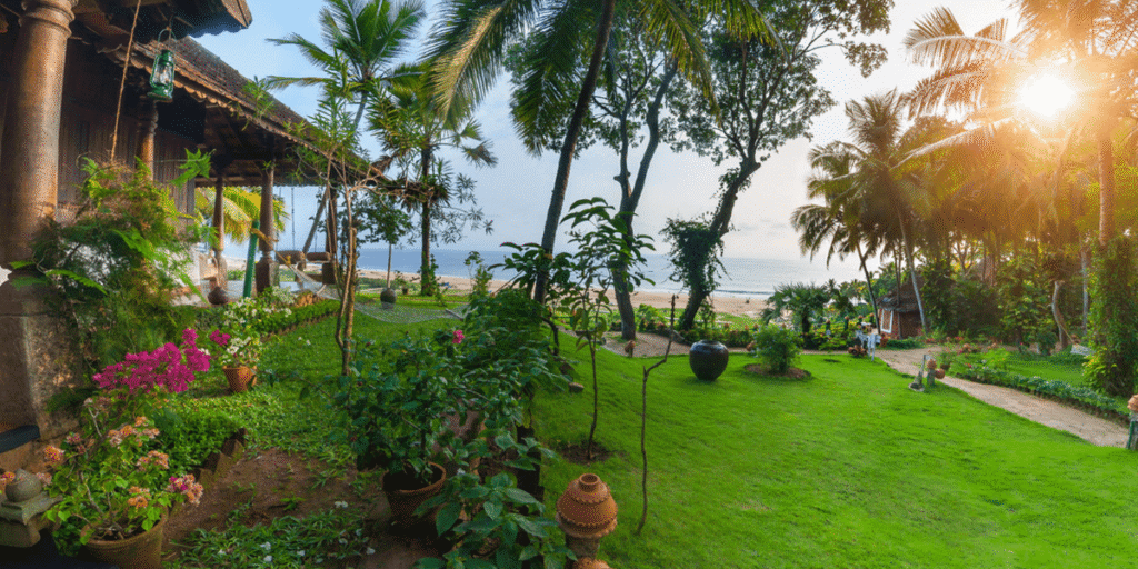  Kerala, India - Ayurvedic Healing Paradise