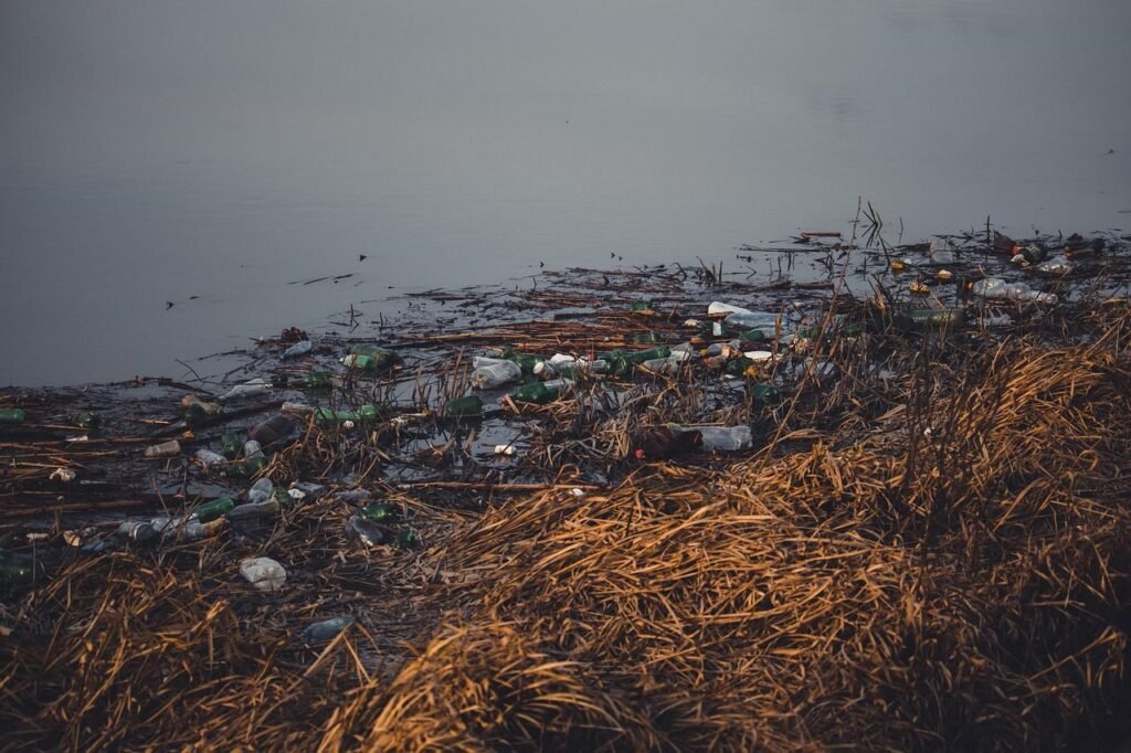 Marine Conservation Considerations