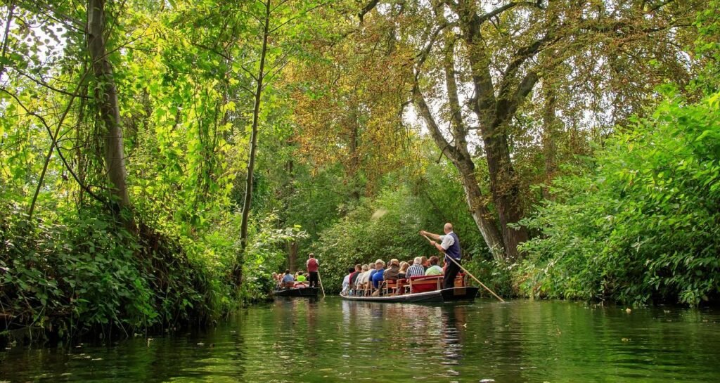 Explore the unique landscape on a traditional punt boat,