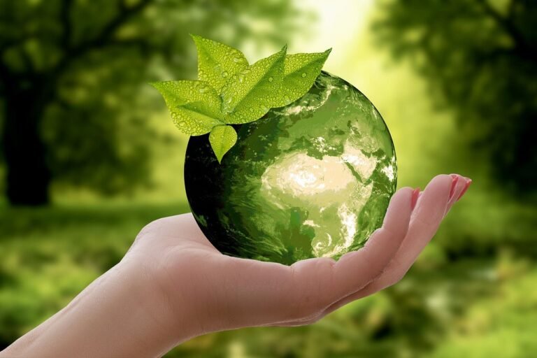 Sustainable Tourism and Ecotourism