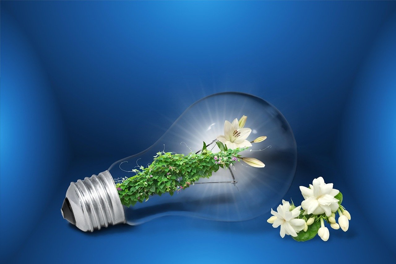 The Five Pillars of Sustainable Tourism