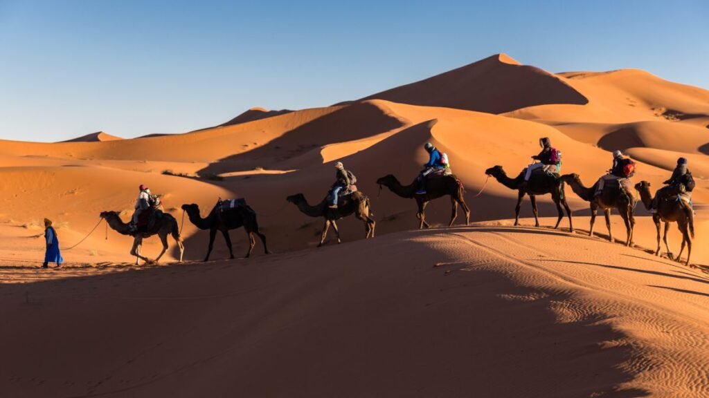 The Sahara's Silent Majesty: A Desert Dream