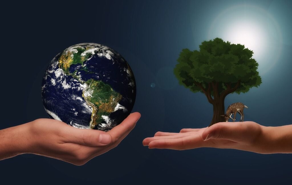  Traveling with an Eco-Conscious Mindset