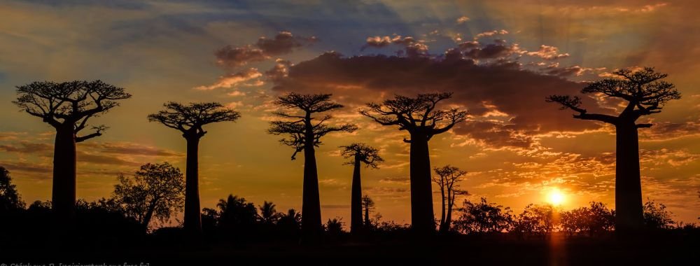 Madagascar offers encounters with unique biodiversity