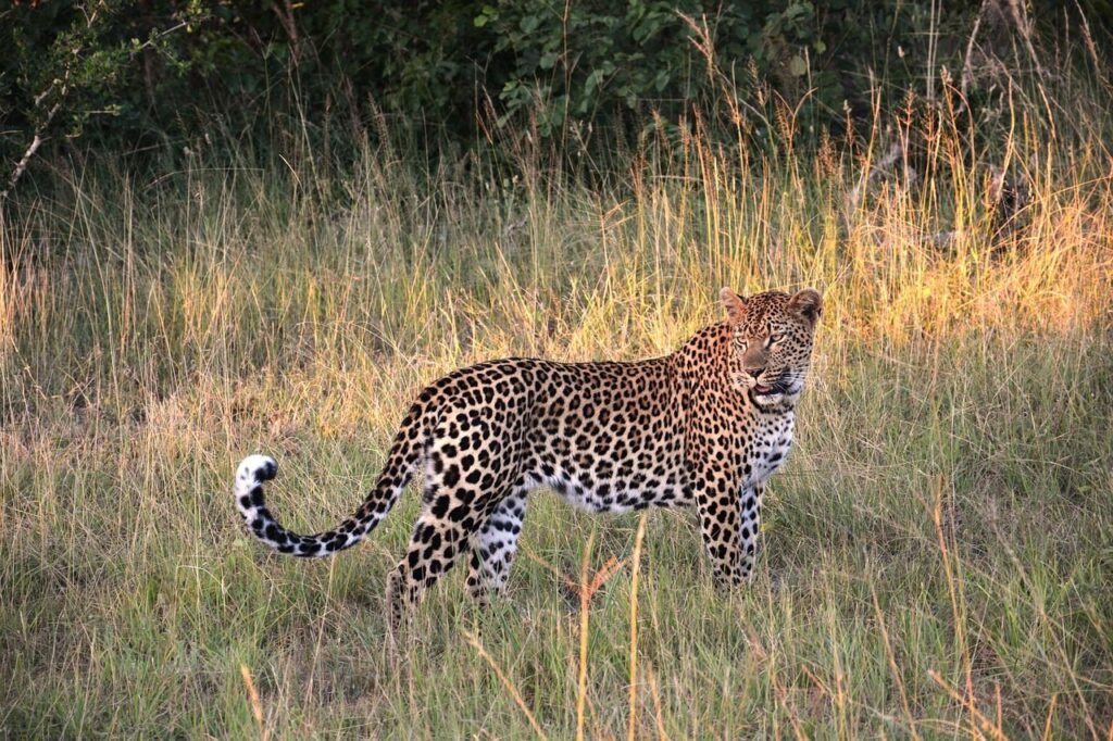 Do you crave wildlife encounters or ocean thrills