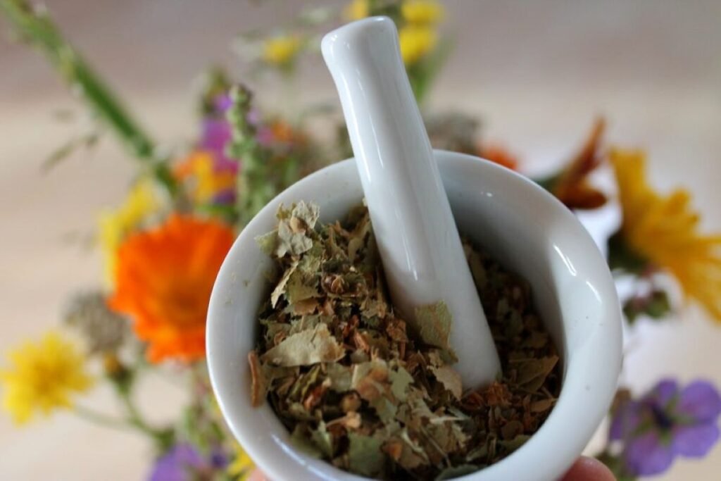 medicinal plants and natural remedies