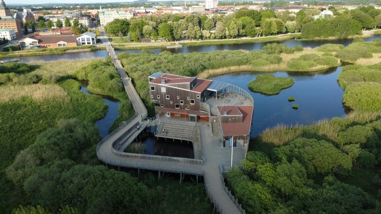 Sweden's Urban Green Escapes
