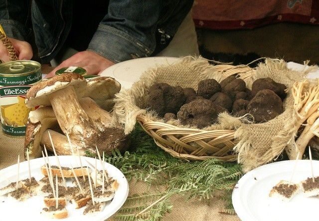 sagra del fungo-mushroom festival