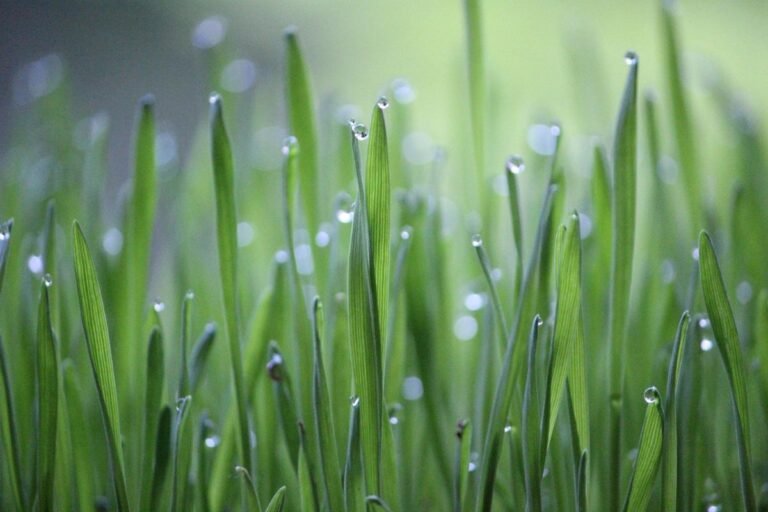 Green and Budget-Friendly Trip