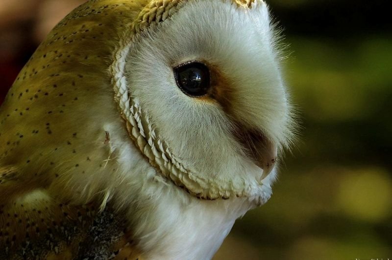 Nature & Wildlife